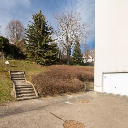 Travel Homes - Le Rebberg, Superbe Vue A มูลูส ภายนอก รูปภาพ
